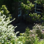 Property-to-Rent-in-Dorset