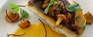 john-dory-butternut